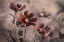 Picture of COSMOS 2019