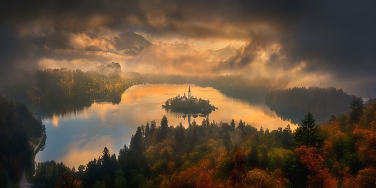 Picture of BLED...