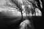 Picture of FOGGY FEBRUARY