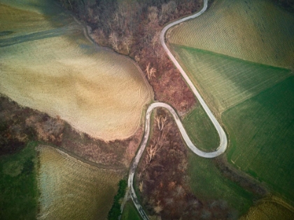 Picture of ANTHROPOCENE
