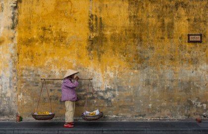 Picture of FRUIT SELLER IN HOI AN