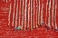 Picture of DRYING RED CHILIES