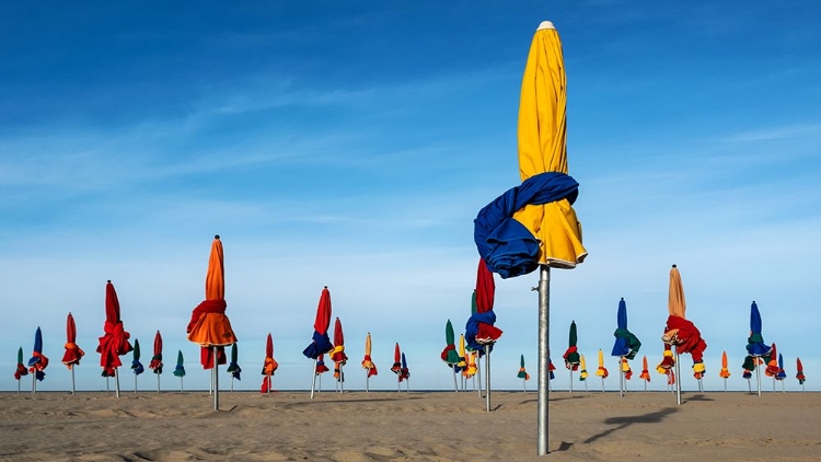 Picture of LES PARAPLUIES DE DEAUVILLE