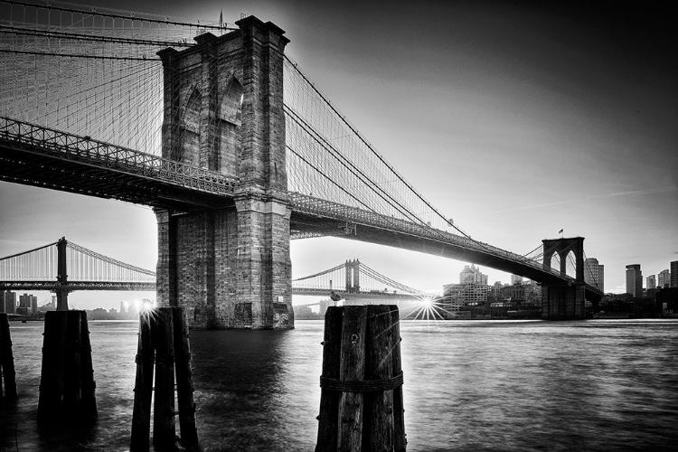 Picture of BROOKLYN BRIDGE - SUNRISE