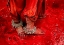 Picture of FESTIVE FEET