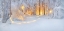 Picture of BRIGHT SPOTS