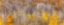 Picture of AUTUMN PAINTING
