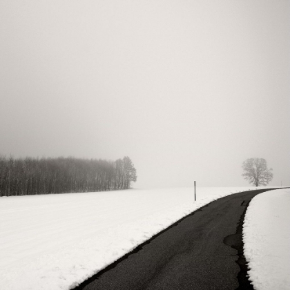 Picture of CURVE IN SNOW