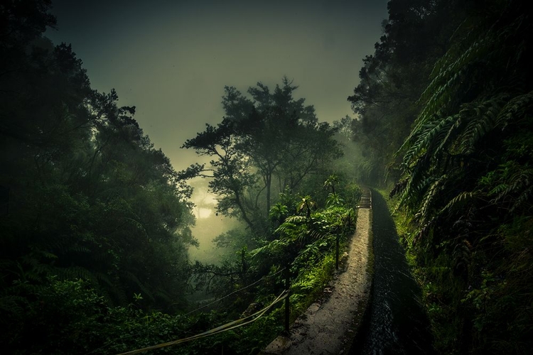 Picture of LEVADA WALK