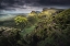 Picture of QUIRAING