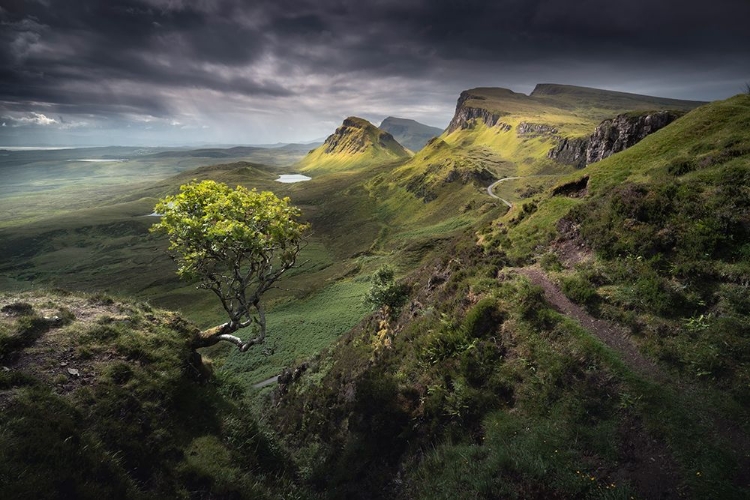 Picture of QUIRAING