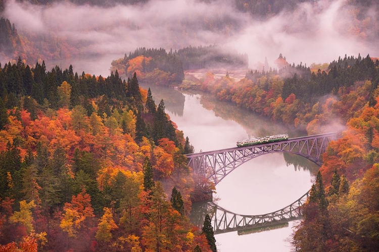 Picture of AUTUMN TADAMI LINE