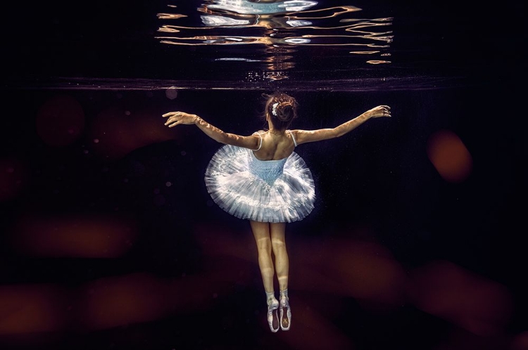 Picture of UNDERWATER WHITE BALLET