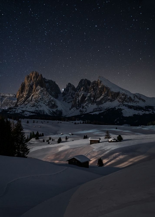 Picture of NIGHT UNDER THE STARS