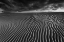 Picture of LINES OF LIFE....