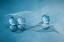 Picture of DRY LEAF AND BUBBLES