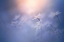 Picture of IN THE PALE LIGHT