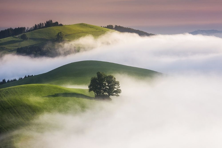 Picture of GREEN HILLS