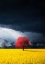 Picture of RED TREE