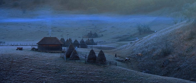 Picture of EARLY MORNING VILLAGE