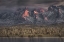 Picture of BELOW THE PEAKS OF PATAGONIA
