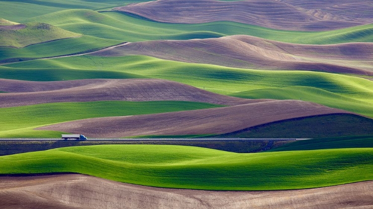 Picture of DRIVING IN THE WHEAT FIELD AT PALOUSE