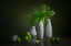 Picture of CILANTRO AND LIME