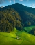 Picture of GREEN MOUNTAIN