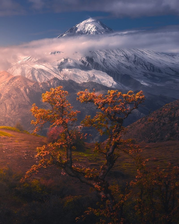 Picture of AUTUMNAL THEME IN ALBORZ MOUNTAINS
