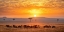 Picture of SUNRISE