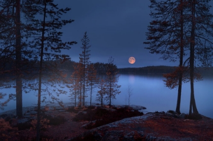 Picture of RED MOON