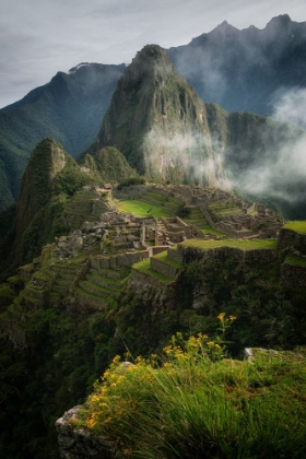 Picture of ANDEAN GARDEN