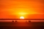 Picture of AFRICA IMPRESSION