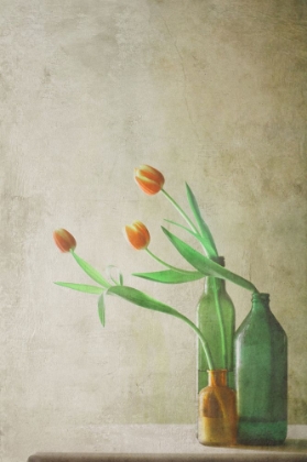 Picture of THREE TULIPS