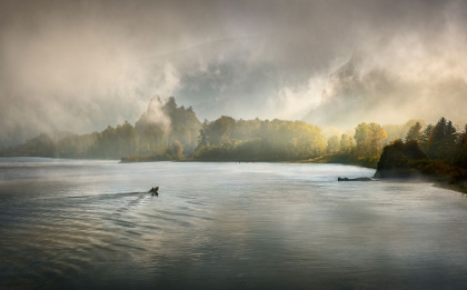 Picture of COLUMBIA GORGE FOG