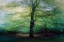 Picture of FOREST