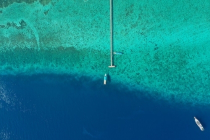 Picture of THE OCEAN.