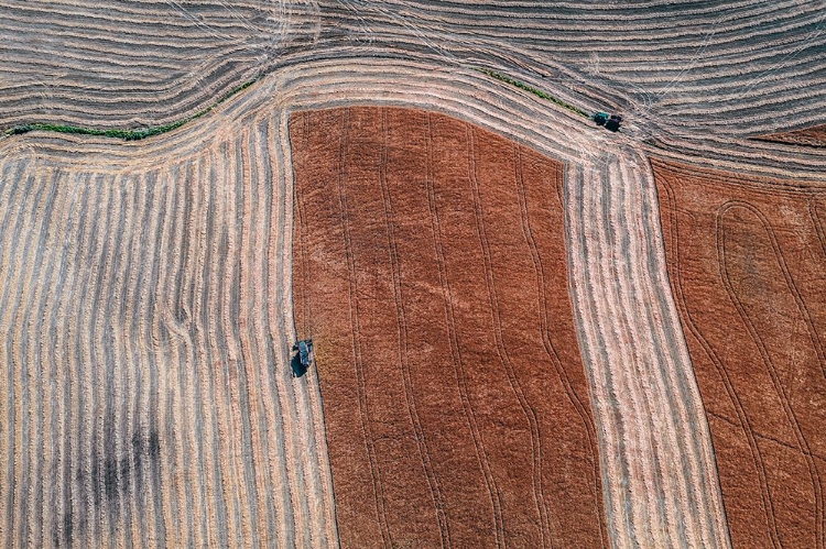 Picture of SERIES TUSCANY - LINES AND CURVES