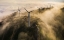 Picture of WIND FARM