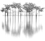 Picture of REFLECTIONS