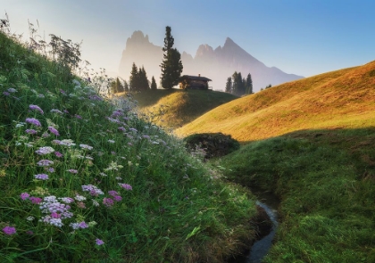 Picture of FLOWERY MORNING