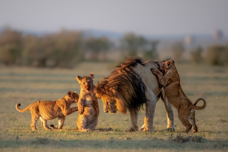 Picture of DAD AND KIDS