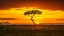 Picture of PRIMORDIAL AFRICA
