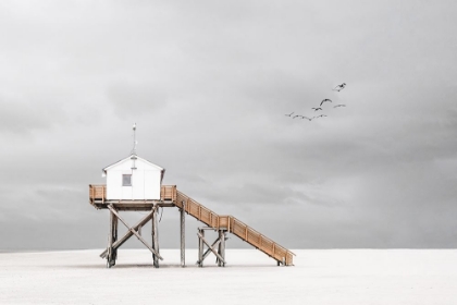 Picture of ON THE BEACH