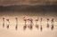 Picture of PHOTOGRAPHIC ODE TO MONET