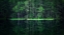 Picture of GREEN WORLD