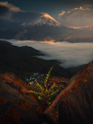 Picture of MOUNT DAMAVAND IN SPRING