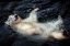 Picture of HER CUTENESS-FLOATING ....