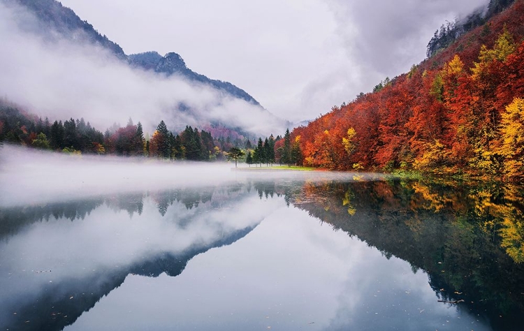 Picture of AUTUMN REFLECTIONS