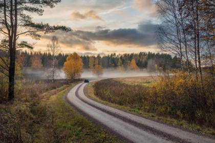 Picture of DRIVE IN AUTUMN COLORS